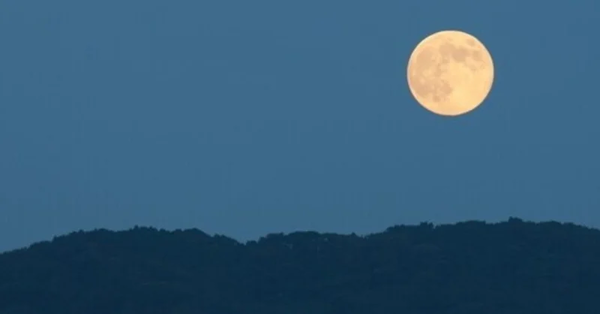 rectangle_large_type_2_32c3e1a3301cbf5f10bfbe41472fed35