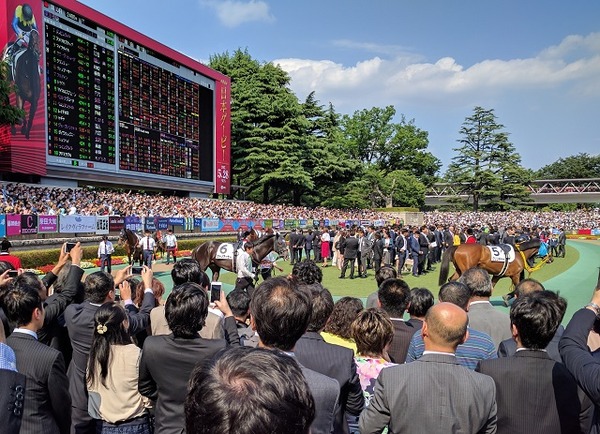 2017日本ダービーパドック