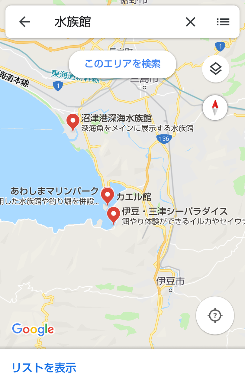 伊豆 三津シーパラダイス サメ好き ひら の水族館ブログ 伊豆 三津シーパラダイス サメ好き ひら の水族館ブログ