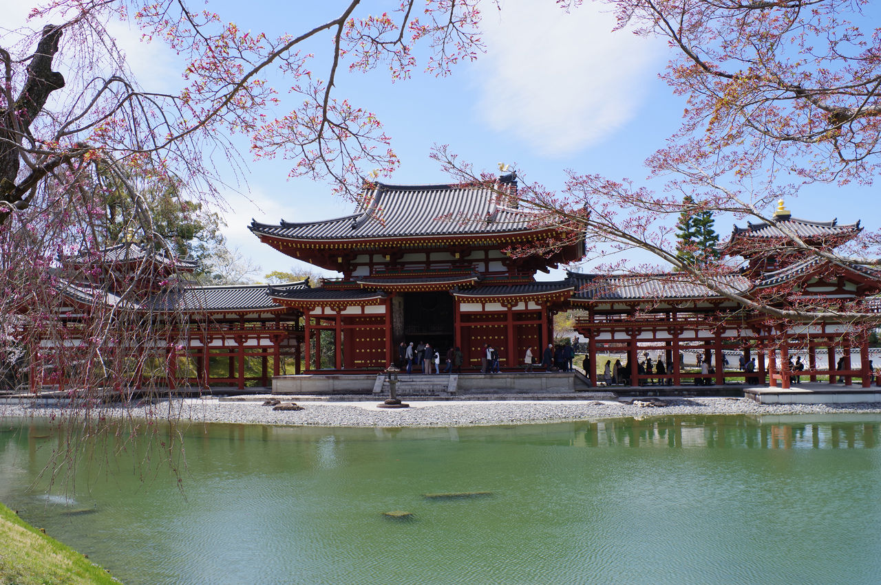 IMGP0029