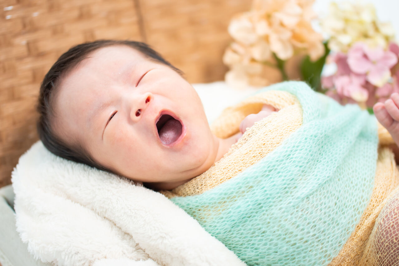 可愛いんです のお話 結樂日和 可愛いんです のお話 結樂日和