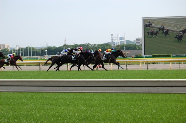 【悲報】競馬界に物凄いアホ騎手が現れてしまう ・・・