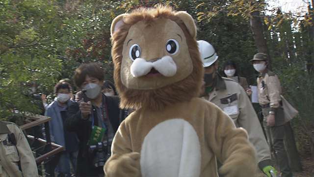 【悲報】天王寺動物園のライオン脱走訓練がシュールすぎワロタwwwwwww