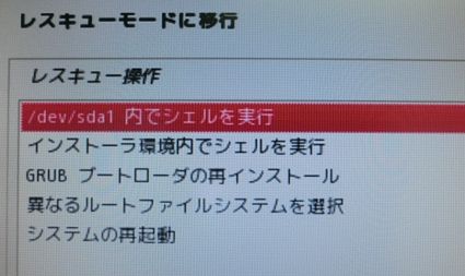 /dev/sda1 内でシェルを実行