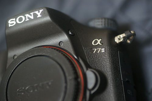 α77II(ILCA-77M2)