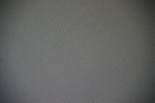 α900(望遠端,開放)