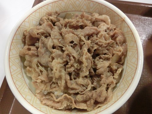 牛丼並盛