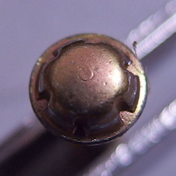 ¥Í¥¸·Á¾õ¤¬ÆÃ¼ì