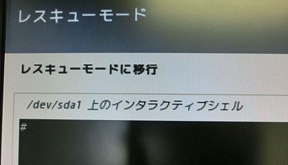 /dev/sda1 上のインタラクティブシェル