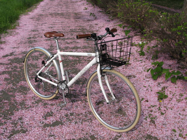 カゴ その パパチャリな日々