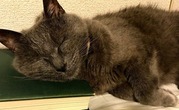 IMG_0922