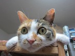 IMG_1718