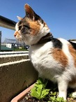 IMG_0122