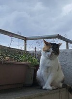 IMG_9691