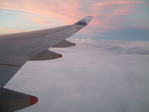 wing