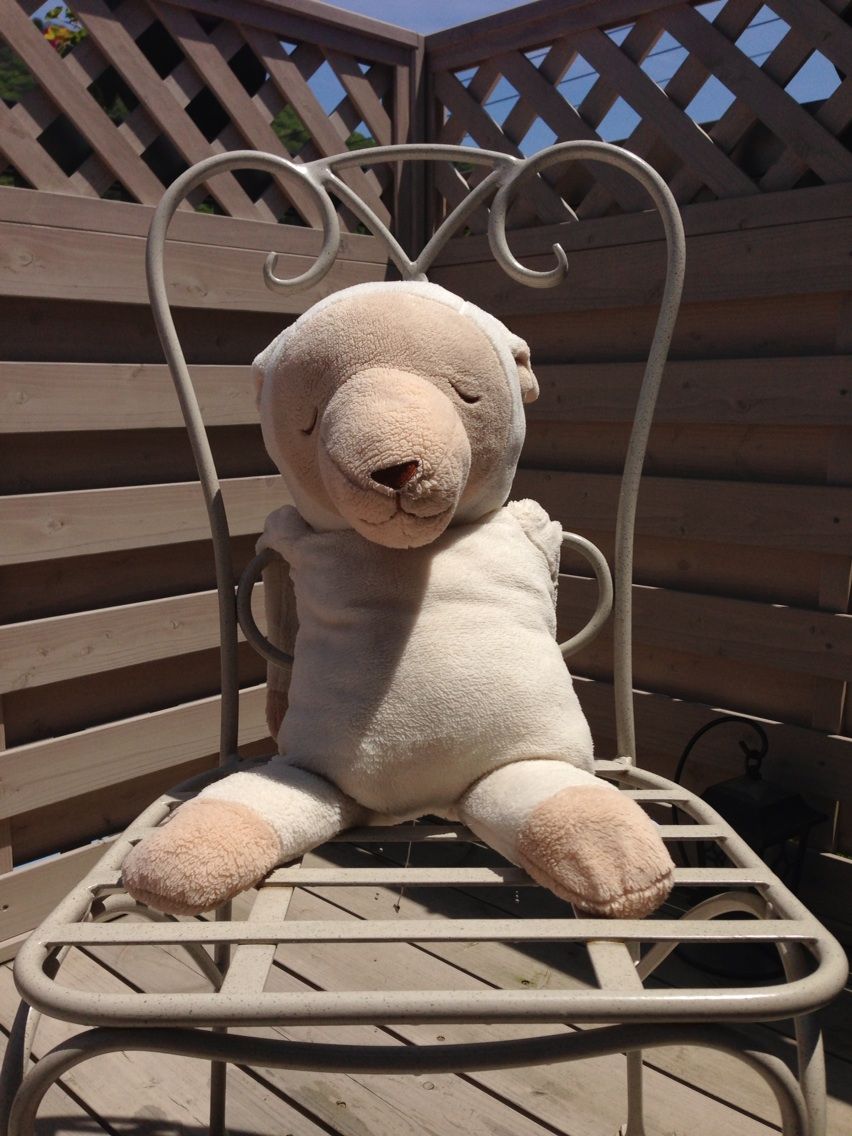 メルくんを手洗いしたよ 振りかけすぎです