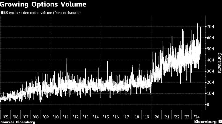Bloomberg option volume