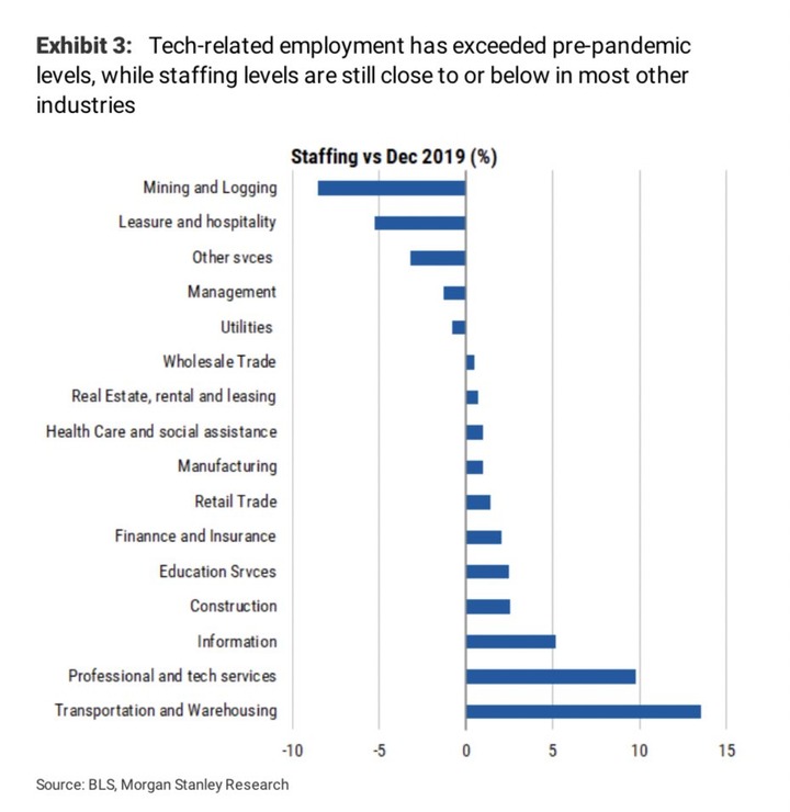 MS staffing by sector