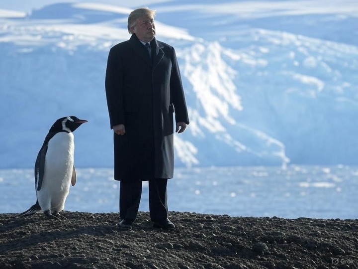penguin