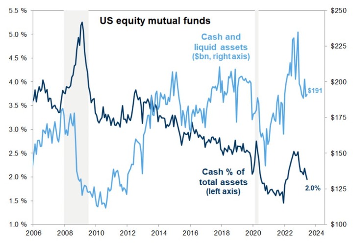 GS mutual fund cash and liquid assets