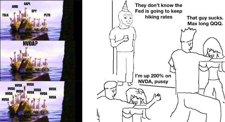 NVDA Meme