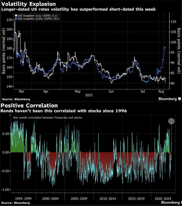Bloomberg Longer dated US rates Vol