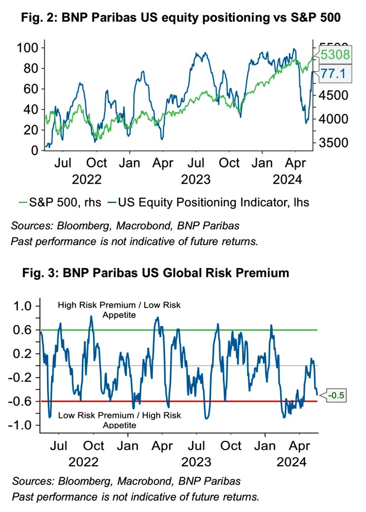 BNP Paribas US Equity Positioning