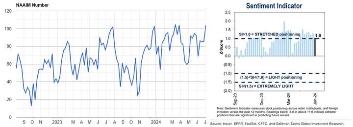 NAAIM GS sentiment