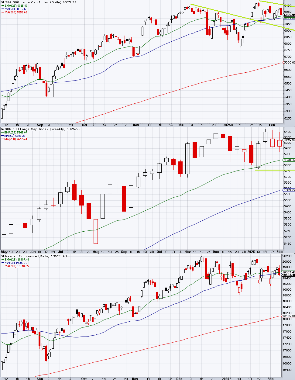 S&P 500は個人の買い支えが続く : 炭鉱のカナリア、炭鉱の龍