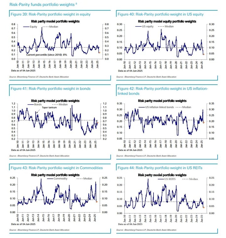 DB risk parity