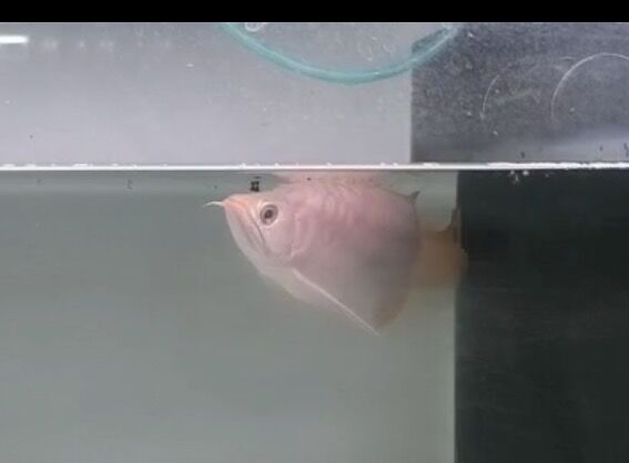 IMG_1973