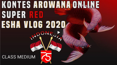 スクリーンショット 2020-08-23 午後8.43.03 2