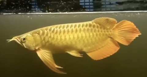 BA941976-4CA9-4D8C-9BA0-F30EF67890E9