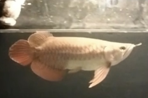 193E889B-B098-4D21-A7CA-0124548AA476