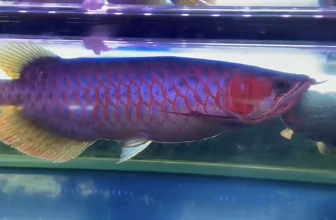 67F4E3AE-74D3-4D69-AF8E-216CCA82A1E3