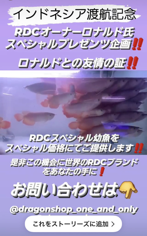 D3CBDCCD-4F67-4BE6-BE3A-E3BE0DD0F154