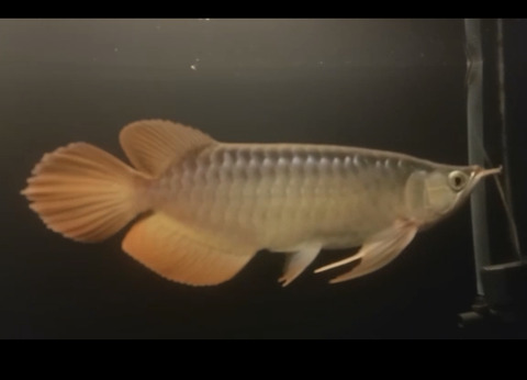 D9AA6554-42BD-444E-8DD7-6376FD9C75AB