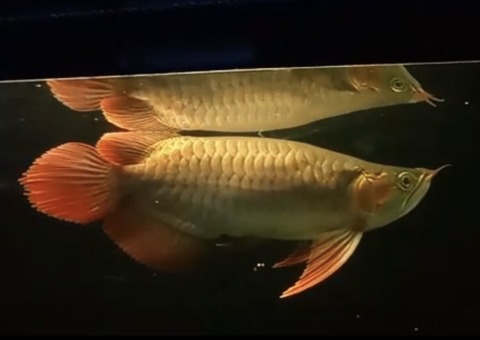 S__172171269