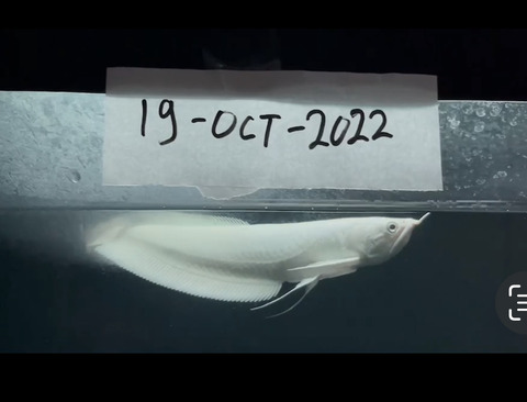 194CF8C8-38C9-4434-B997-F83DA0137308