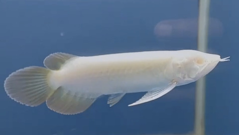 054FB05A-BDCA-4008-B30D-68055601327D