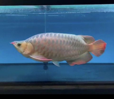 8204E0B6-AF10-40CD-B594-8309035CF270