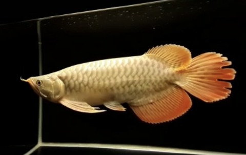 DD0B4565-550E-4904-84B7-EEFB6C02FBC2