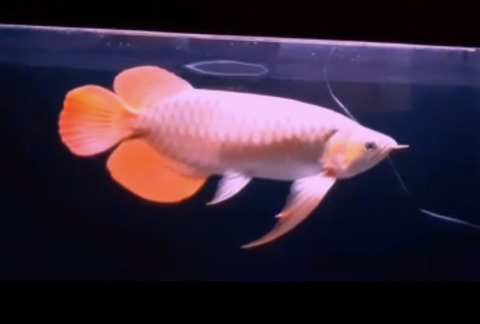 05138918-11EA-4A31-ADBD-3BE854963F35