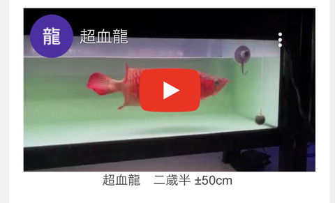 87FA7D5A-BC22-41B8-BD18-8357B25A5F24