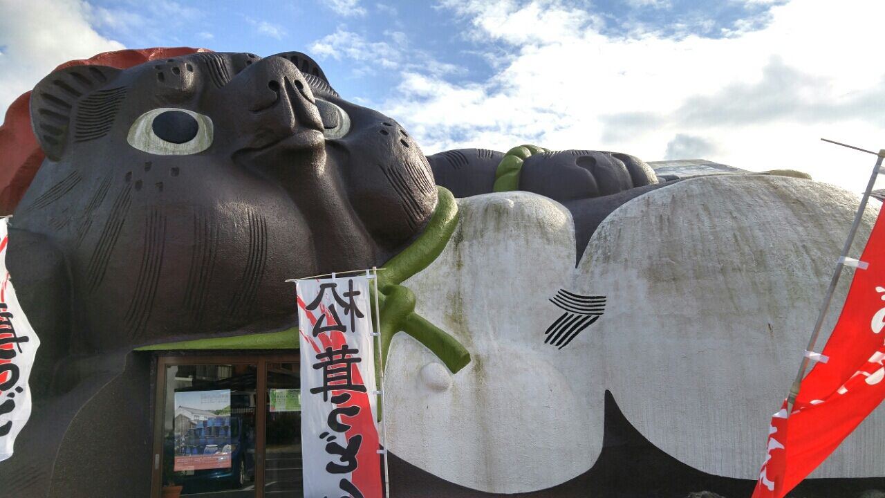 信楽たぬき : おでかけ日和