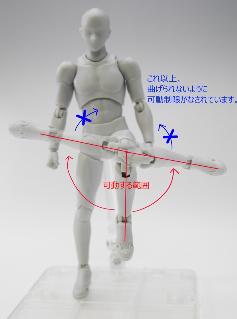 本日発売！ボディくん＆ボディちゃん徹底解剖！！ : S.H.Figuarts(エス