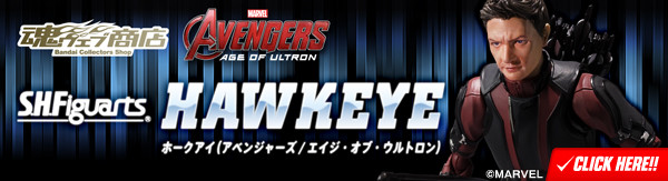 bnr_SHF_HawkEye_600x163
