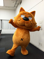mr_kig