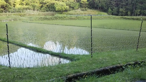 2-4-7