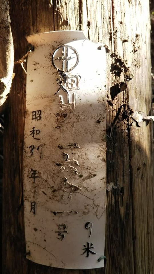 イメージ 25